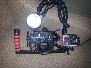 GoPro housing mounted on my Ikelite housing